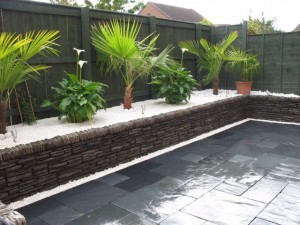 Black & white garden design